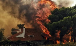 Une maison menacée par les flammes à Kineta près d'Athènes le 23 juillet 2018