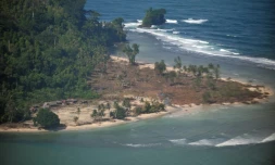 Un séisme de magnitude 7,8 touche l'Indonésie, alerte au tsunami