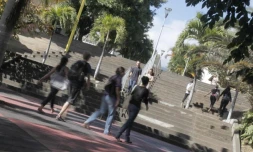 Université de la Réunion