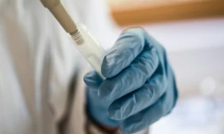 Tests de contamination au fripronil, pratiqués sur des oeufs dans un laboratoire de Krefeld, en Allemagne, le 7 août 2017