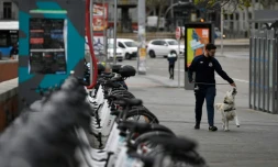 Un homme promène son chien à Madrid, le 16 mars 2020.