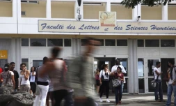 Université de la Réunion