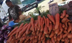 Vente de carottes péi au marché des Camélias