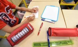 Les troubles de l'apprentissage apparaissent dĂšs deux ou trois ans pour la dysphasie, vers la fin du CP pour la dyslexie, un peu plus tard pour la dysorthographie