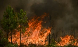 Incendie à Saint-Magne, le 11 août 2022 en Gironde