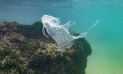 Morceau de plastique dans l'océan Indien le 31 décembre 2021