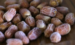 Des dattes récoltées d'un dattier issu de graines vieilles de 2.000 ans, à Kibbutz Ketura dans le sud d'Israël, le 27 septembre 2021