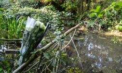 Un bouquet en hommage à Victorine, le 30 septembre 2020 sur les lieux où le corps de la jeune fille a été retrouvé à Villefontaine (Isère)
