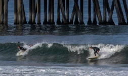 Des surfeurs prÚs de la jetée d'Huntington Beach, le 2 mars 2020 en Californie