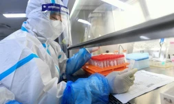 Un technicien travaille sur des prélèvements de tests Covid dans un laboratoire de Wuhan, le 4 août 2021 en Chine