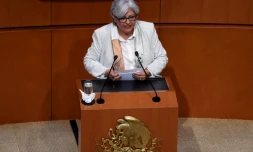 La secrétaire à l'Economie du Mexique Graciela Marquez Colin s'exprime devant le Sénat mexicain le 14 juin 2019 à Mexico City