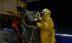 Des pêcheurs sur le pont du chalutier dans les eaux anglaises de la Manche, le 28 septembre 202.