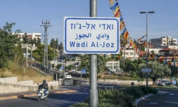 Une rue du quartier palestinien de Wadi al-Joz Ă JĂ©rusalem-Est occupĂ©e, oĂč les propriĂ©taires d?entreprises palestiniens craignent d?ĂȘtre contraints de fermer boutique en raison d'un vaste projet israĂ©lien de haute technologie le 3 juin 2020
