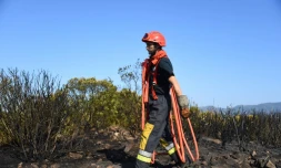 Un pompier porte un tuyau près du Luc (Var) le 19 août 2021
