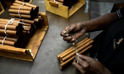Une femme attache des paquets de cigares dans la fabrique qui produit les prestigieux cigares Cohiba, à La Havane, le 8 septembre 2022