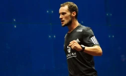 Photo fournie par Squash Australia le 13 août 2010 montrant le joueur français Grégory Gaultier après sa victoire contre l'Egyptien Karim Darwish en quart de finale de l'Open d'Australie à Canberra