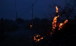 De la pinède gagnée par les flammes près de Frontignan, dans l'Hérault, le 18 août 2024 