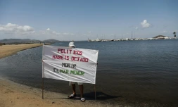 Un militant tient une bannière sur laquelle est écrit "Politiciens, vous avez laissé mourir la mer Mineure", le 25 août 2021 à Puerto Bello de la Manga, en Espagne