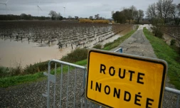 Une route inondée à Coursan, le 19 janvier 2026 dans l'Aude