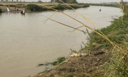 Un crocodile se repose sur la rive du fleuve Sokoto, appelé localement Maten Fada, à Argungu, dans l'État de Kebbi, au Nigeria, le 11 avril 2025