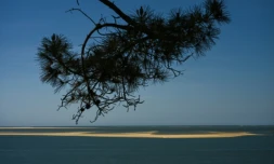Le banc d'Arguin, îlot "mouvant" de sable près d'Arcachon, en Gironde, le 20 avril 2026