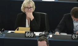L'eurodéputée Nadine Morano au parlement européen le 8 octobre 2015 à Strasbourg