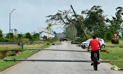 Des poteaux électriques et des arbres à terre après le passage de l'ouragan Rafael à Artemisa, à Cuba, le 7 novembre 2024