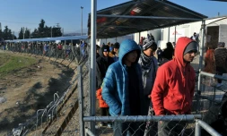 Des migrants en attente de distribution de nourriture le 21 janvier 2016 près d'Idomeni à la frontière entre la Grèce et la Macédoine