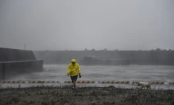 Un homme marche avec son chien à Ichikikushikino (Japon) le 7 septembre 2020 après le passage du typhon Haishen