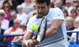Le Serbe Novak Djokovic face au Russe Daniil Medvedev au tournoi sur gazon d'Eastbourne, le 30 juin 2017