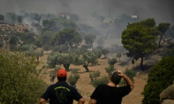 Un pompier (Ă gauche) et un habitant devant des feux de forĂȘts prĂšs de Nea Peramos, Ă l'ouest d'AthĂšnes, le 19 juillet 2023