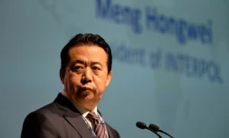 Le président d'Interpol Meng Hongwei, le 4 juillet 2017 à Singapour