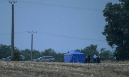 Des gendarmes sur le site où des recherches sont menées pour retrouver le corps de Delphine Aussaguel, disparue en France en décembre 2020, à Villeneuve-sur-Vère, le 16 juillet 2026 dans le Tarn