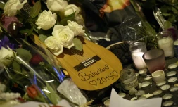 Des fleurs, une guitare et des bougies sont déposées le 15 novembre 2015 en face du Bataclan à Paris en mémoire des victimes des attentats