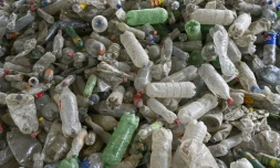 Des bouteilles en plastique s'amoncellent près de la rivière Las Vacas à Chinautla, au Guatemala, le 3 juin 2025