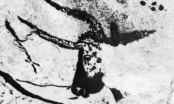 Photo non datée d'un des motifs vieux de 13.000 ans, peint sur une paroi de la grotte de Lascaux, dans la commune de Montignac