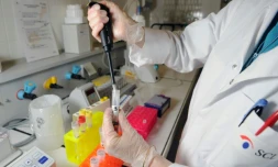 Bisphénols, phtalates, solvants, parabÚnes... Une vaste étude publiée mardi montre que six "polluants du quotidien" dont on connaßt encore mal les effets "sont présents dans l'organisme de tous les Français", alors que le gouvernement présente sa feuille de route contre les perturbateurs endocriniens