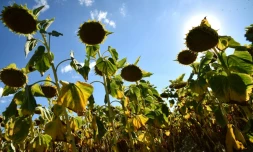 L'annĂ©e 2018 devrait figurer au 4e rang des plus chaudes jamais enregistrĂ©es, a alertĂ© jeudi l'ONU, avertissant de l'extrĂȘme urgence de la situation