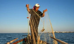 La pêcheuse tunisienne Sara Souissi prépare son filet près de la côte des îles Kerkennah, au sud de Tunis, le 8 août 2024