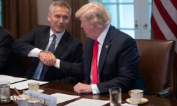 Le secrétaire général de l'Otan Jens Stoltenberg et le président américain Donald Trump à Washington, le 17 mai 2018