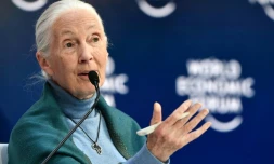 La primatologue britannique Jane Goodall au Forum économique de Davos, le 22 janvier 2020