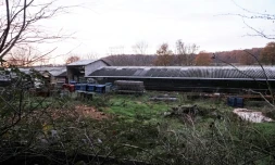 Un élevage de visons à Champrond-en-Gâtine (Eure-et-Loir), le 22 novembre 2020