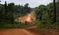 Un véhicule emprunte la route en terre reliant sur près de 500 km Georgetown, capitale du Guyana, à Lethem, dans le sud-ouest, à la frontière du Brésil, le 28 août 2025