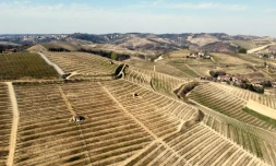 Des vignobles à Canale prÚs de Cuneo dans la région de Roero, le 25 mars 2022