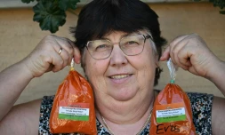 La cultivatrice Rozsa Benyi pose avec deux sachets de paprika devant son domicile à Homokmegy, dans le sud de la Hongrie, le 19 septembre 2026 