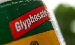 La Commission européenne a annoncé jeudi qu'elle allait renouveler l'autorisation du glyphosate dans l'UE pour 10 ans, à la suite d'un vote des Etats membres