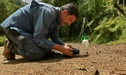 L'agronome colombien à la retraite Juan Guillermo Jaramillo photographie des papillons à Jardin, en Colombie, le 21 août 2021