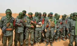 Des soldats maliens à Gao le 23 février 2017