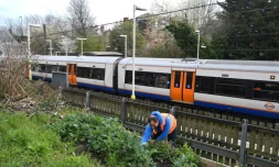 Agamemnon Otero, directeur du projet Energy Garden, s'occupe d'un potager prĂšs de la station Brondesbury Park de l'Overground, le 24 mars 2021 Ă Londres