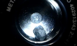 Aux Etats-Unis, un grain de l'astéroïde Bennu a déjà ses fans